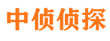 陵水侦探公司